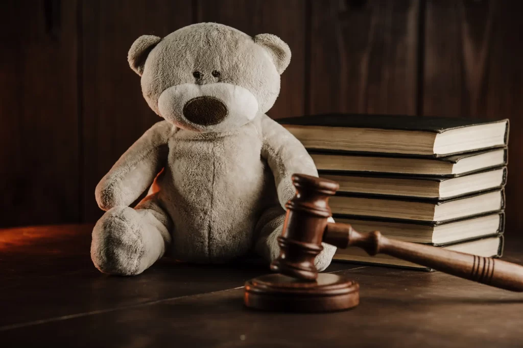 Child Support Lawyer