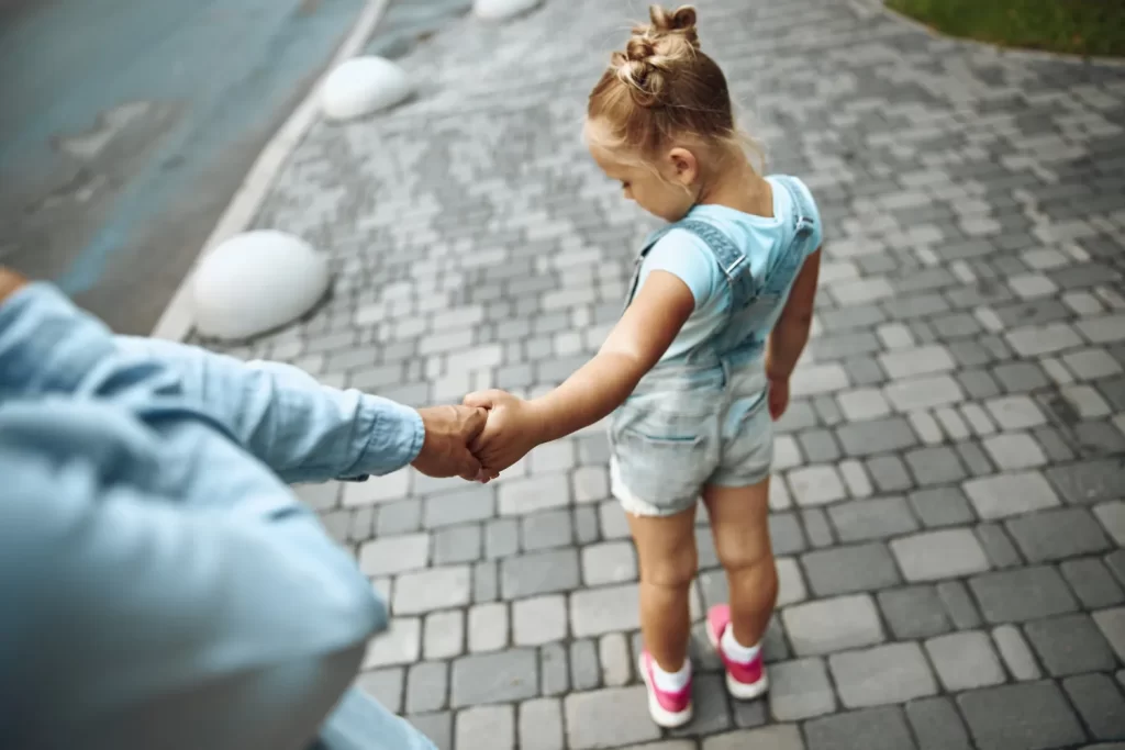 Rotterdam Child Support Lawyer