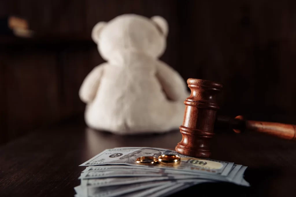 Child Support Lawyer