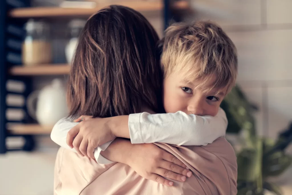 Crown Point Child Custody Lawyer