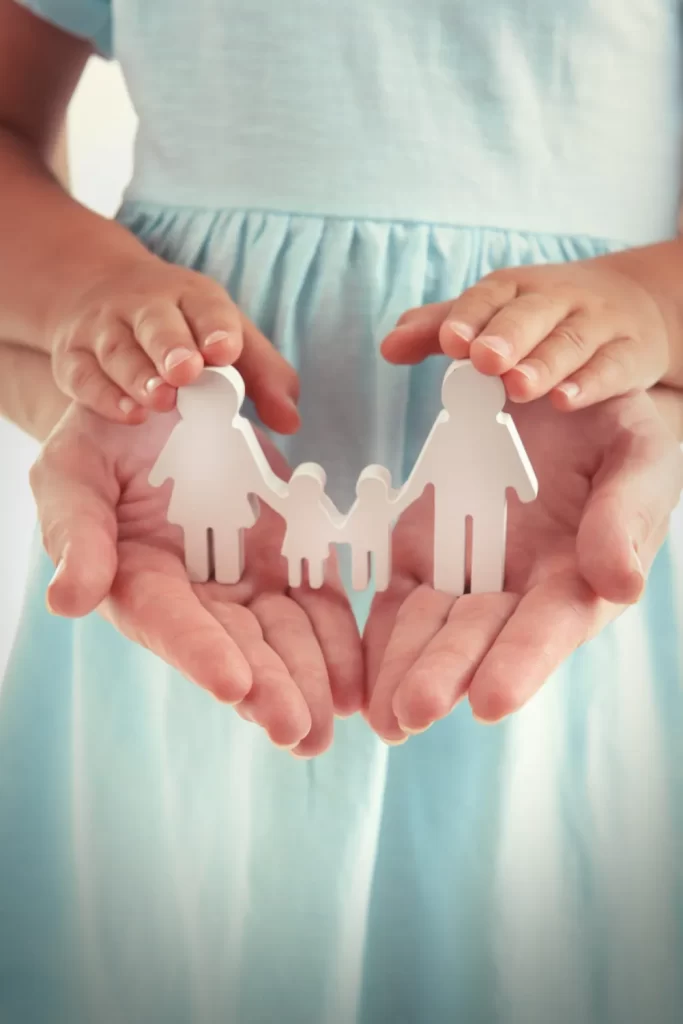 Fort Ann Family Lawyer