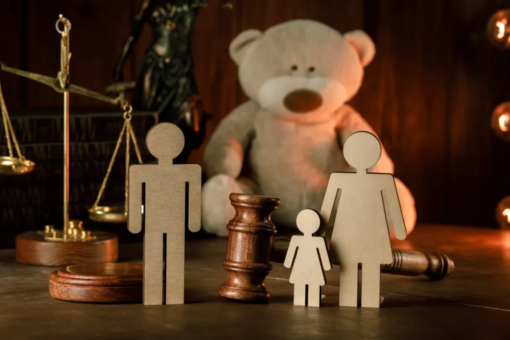Child Support Lawyer